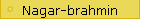 Nagar-brahmin
