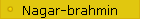 Nagar-brahmin