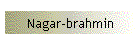 Nagar-brahmin